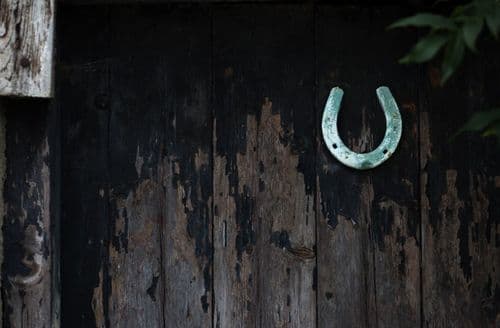 thubnail image