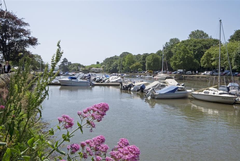 Kingsbridge Estuary - towards Crabshell