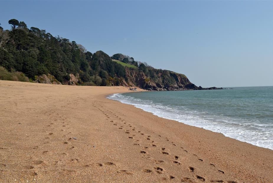 DSC_0052 Blackpool Sands ps
