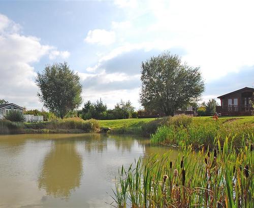 Surrounds - View 3