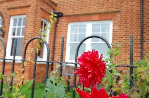 Flowers in the Garden