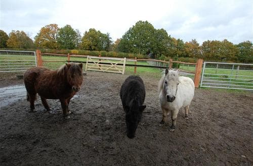 Waypost horses