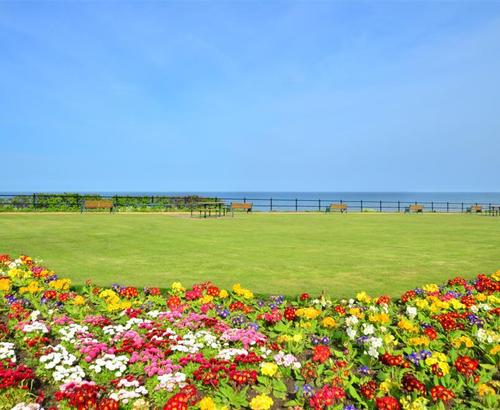 Mundesley Cliff Top
