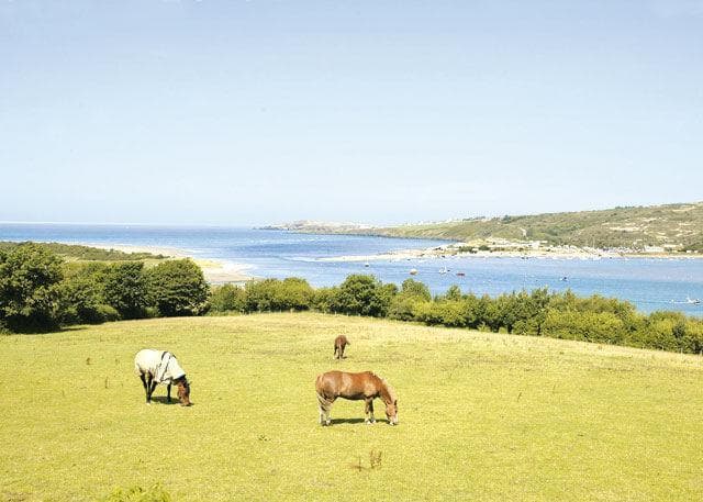 hoseasons cardigan bay