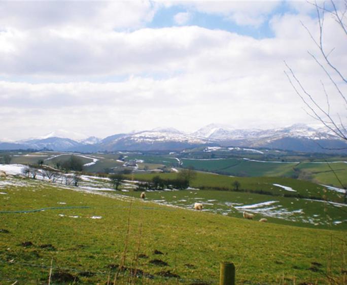 FL038_view.jpg