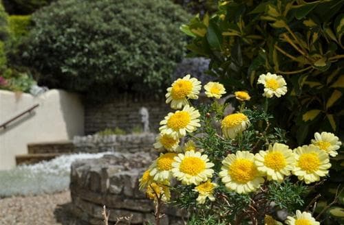 02-DSC_0006