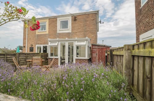 beadnell cottages dog friendly