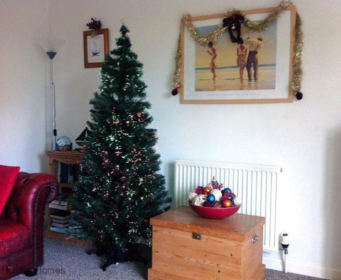 Sandpiper Holiday Cottage Paignton - Christmas Tim