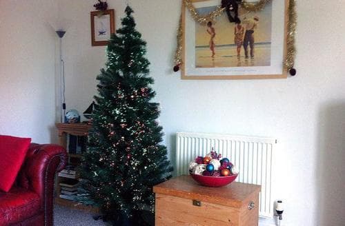 Sandpiper Holiday Cottage Paignton - Christmas Tim