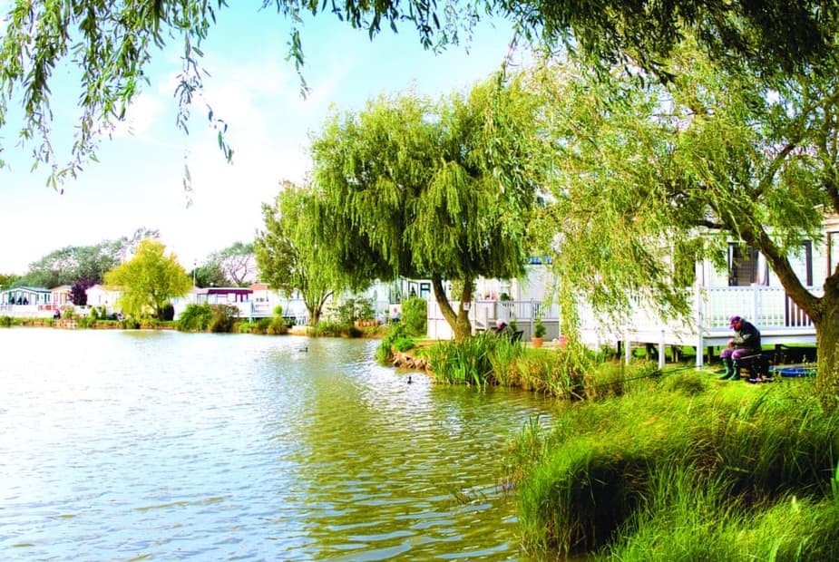 The park setting