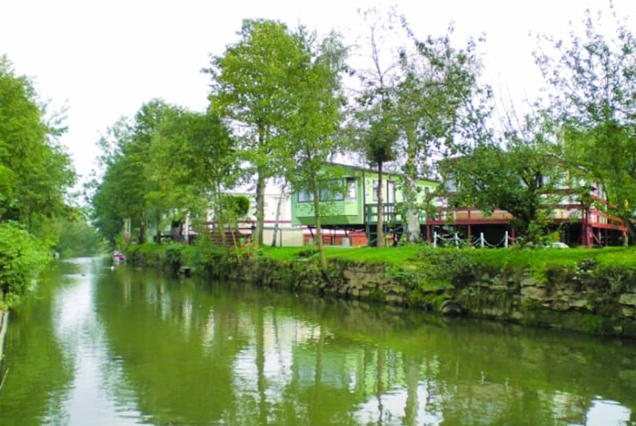 The park setting