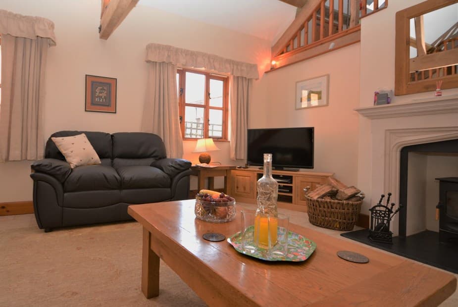 Spend a cosy evening by the wood burner watching TV