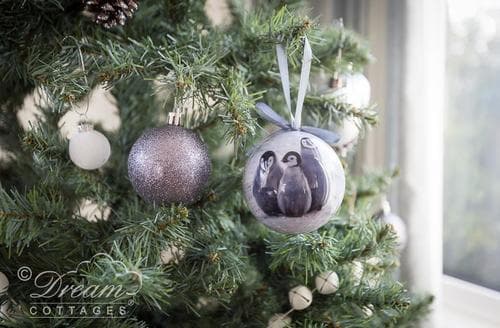 Dream Cottages - Sandsfoot Hse Xmas 17-1007