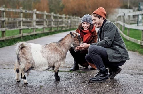 Feadon Farm