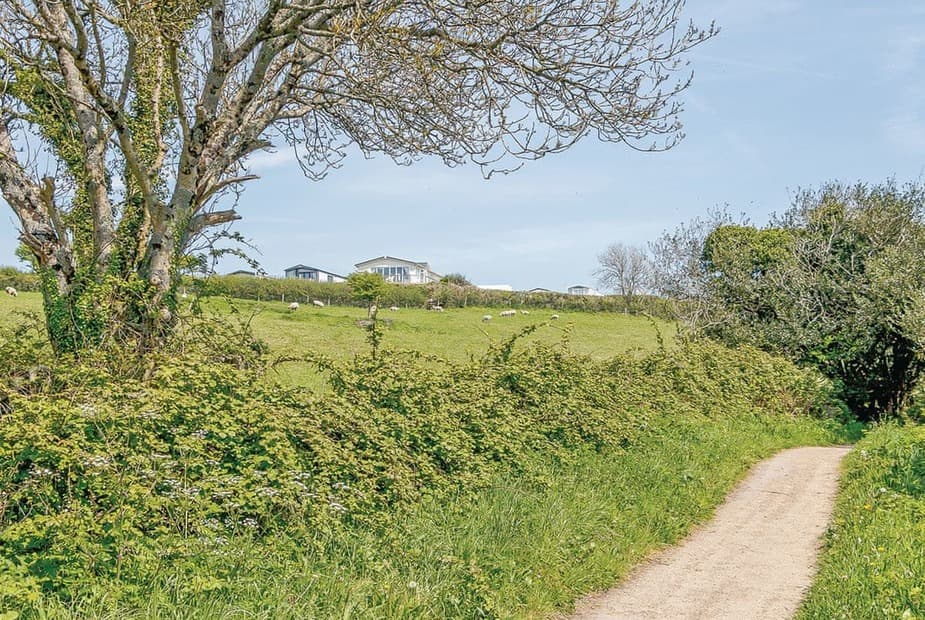 The park setting | Meadow House Holiday Park, Summerhill, Amroth