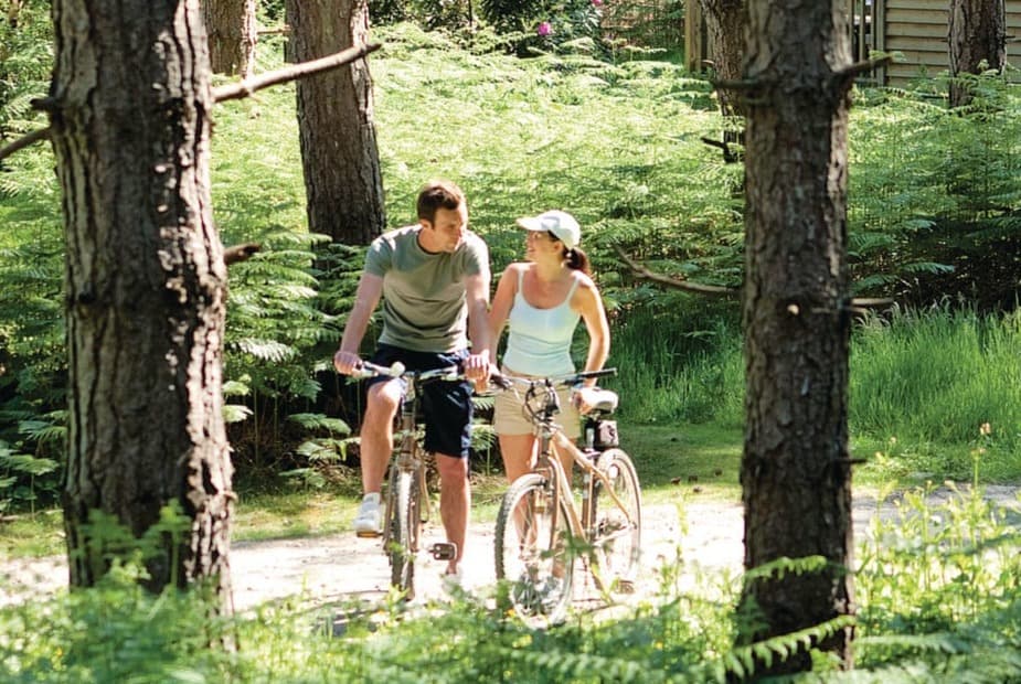 Griffon Forest, Flaxton, York