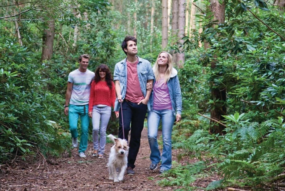 Griffon Forest, Flaxton, York