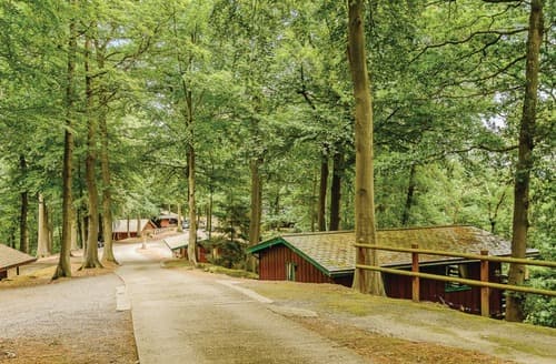 The park setting