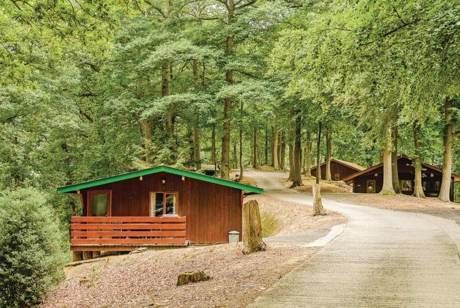 The park setting