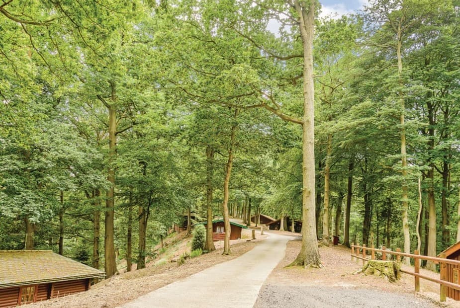 The park setting
