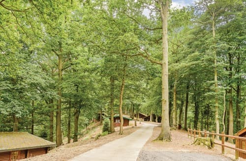 The park setting