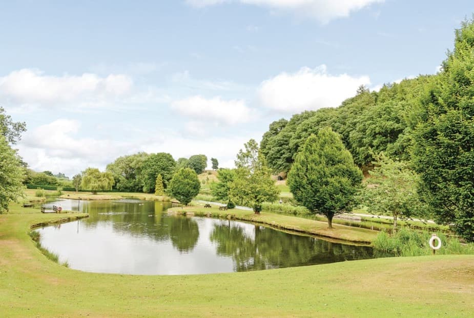 The park setting