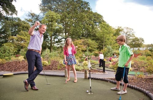 Mini golf