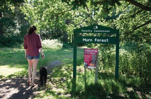 Access to the Hurn Forest on park