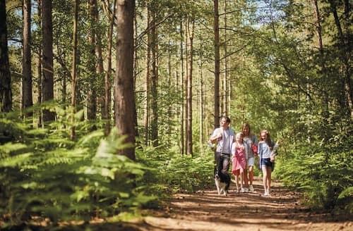 Oakdene Forest, St Leonards, Ringwood