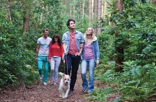 Griffon Forest, Flaxton, York
