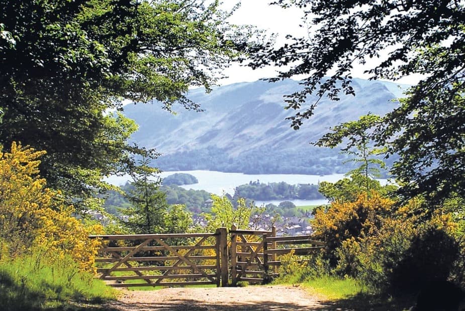 The lovely surroundings