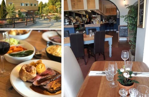 Fingle Glen Lodges, Exeter