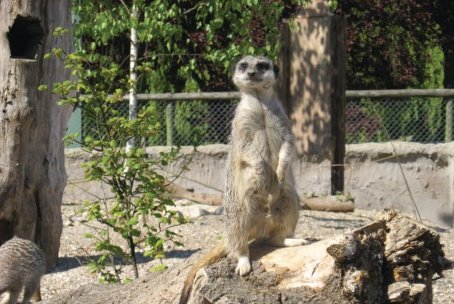Zoo