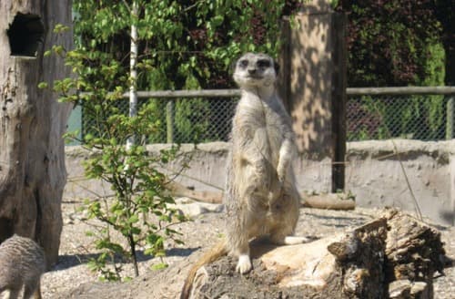 Zoo