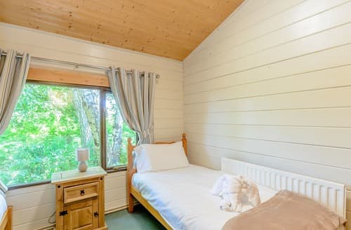 Loxley | Sherwood Castle Holiday Forest, Sherwood Forest, Rufford