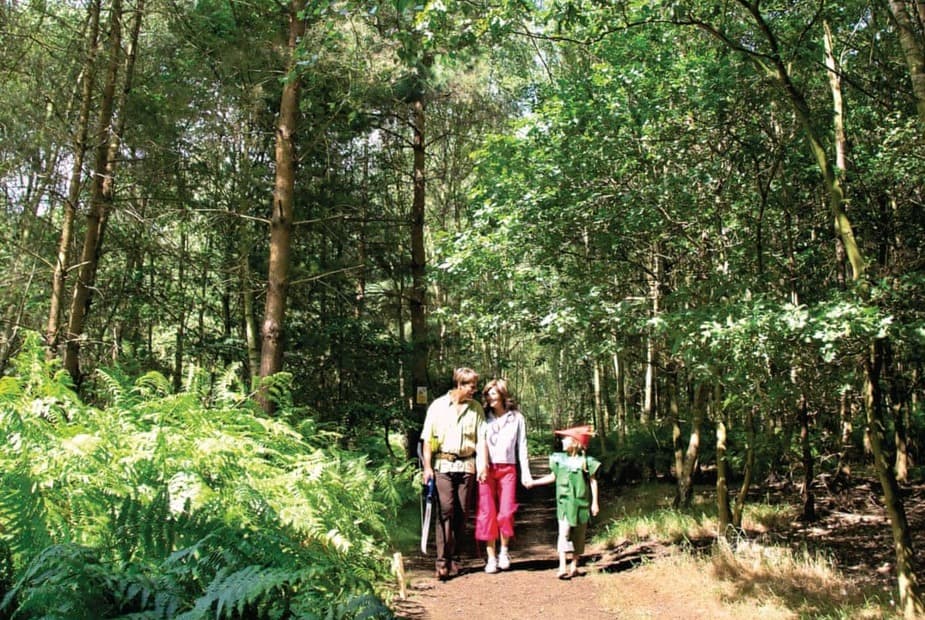 The park setting