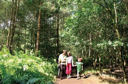 The park setting