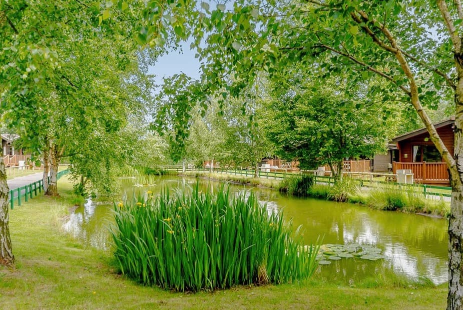 Sherwood Castle Holiday Forest, Sherwood Forest, Rufford