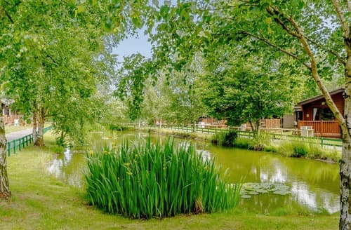 Sherwood Castle Holiday Forest, Sherwood Forest, Rufford