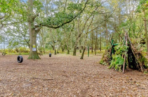 Sherwood Castle Holiday Forest, Sherwood Forest, Rufford