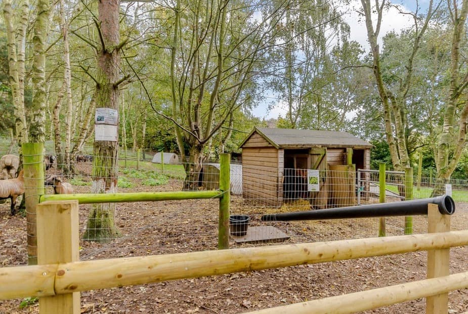 Sherwood Castle Holiday Forest, Sherwood Forest, Rufford