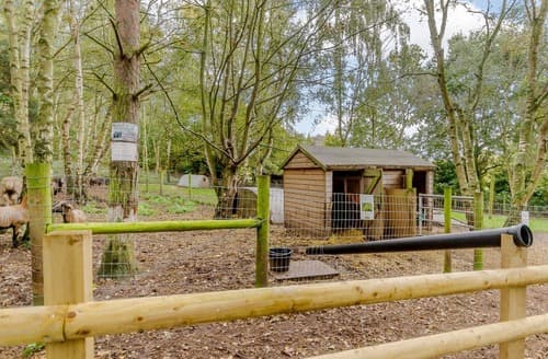 Sherwood Castle Holiday Forest, Sherwood Forest, Rufford