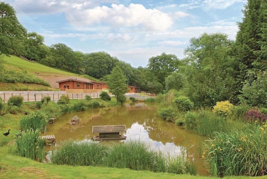 The park setting | Kingsford Farm Lodges, Longdown, Exeter