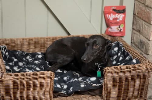 There's even a bed for your four-legged friend