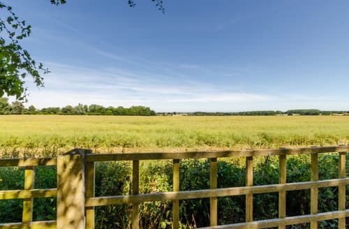 Area View