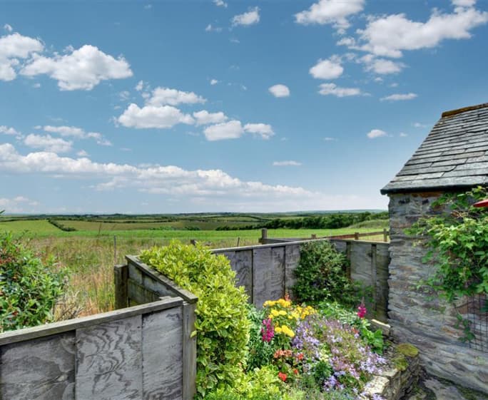 View from garden