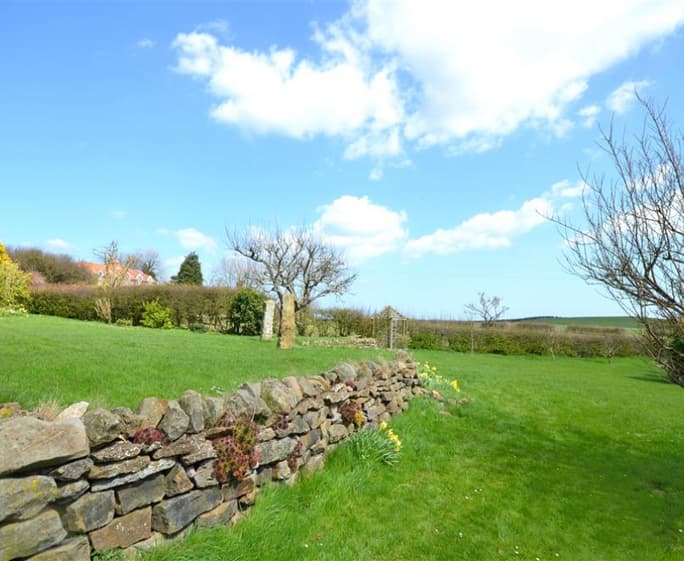 Garden - View 2