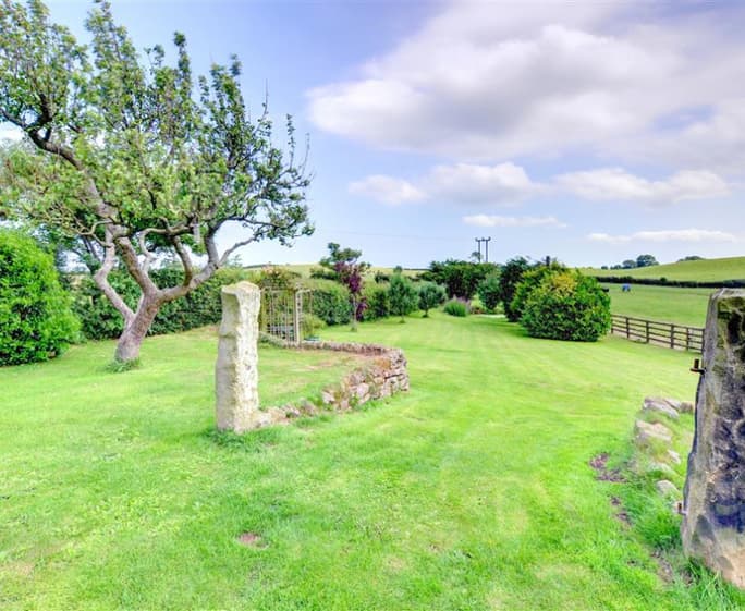 Garden - View 1