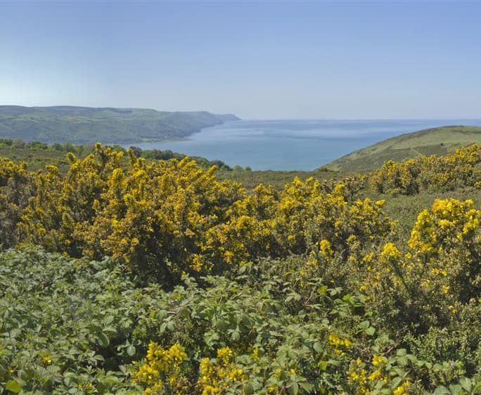 Somerset coast