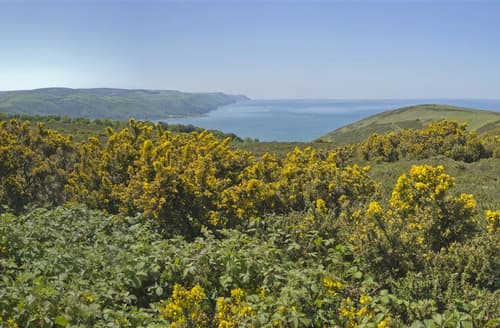 Somerset coast